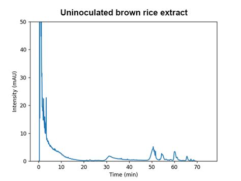 Lion’s Mane Mushroom Benefits*