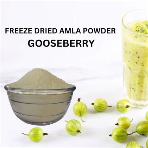 Freeze Dried Amla Powder At Rs 1250 Kg Ankleshwar GIDC Ankleshwar