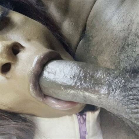 Min Nut Blowjob Shemale Amateur Blowjobs HD Porn Video Fe XHamster