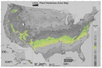 USDA Gardening Zone 7 | LoveToKnow