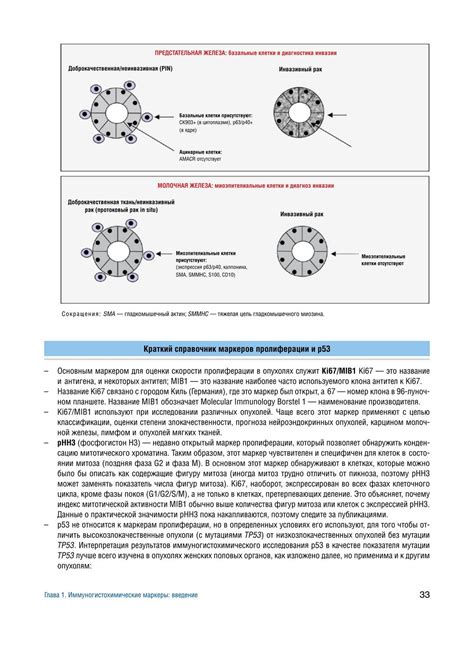Микроскопическое исследование биопсийного и операционного материала ...