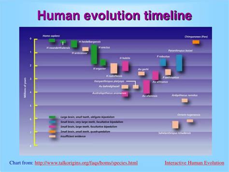 Ppt Vertebrates Powerpoint Presentation Free Download Id1805589