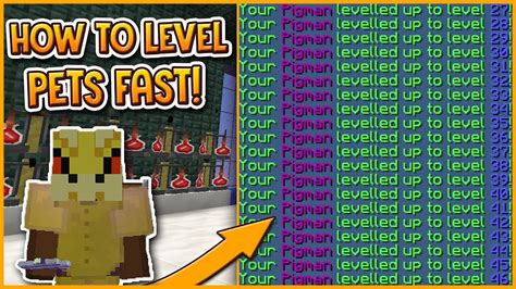 Hypixel Skyblock How To Level Up Pets Fast Youtube