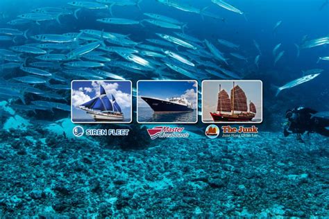 Worldwide Dive and Sail | Scuba Diving