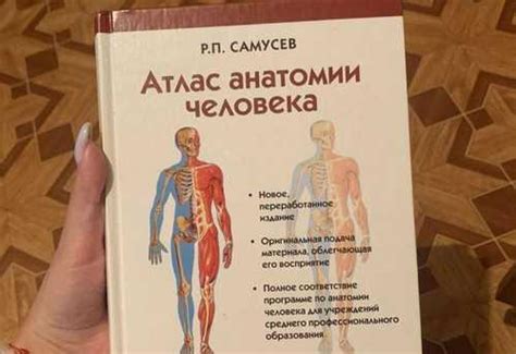 Атлас анатомии человека самусев | Festima.Ru – частные объявления