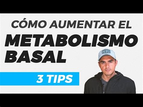 Descubre Los Mejores Consejos Sobre C Mo Aumentar Tu Metabolismo Basal