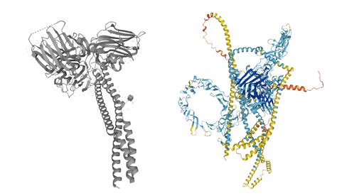 Human Laminin 521 Protein (PG) (LMN-HM522) – KACTUS