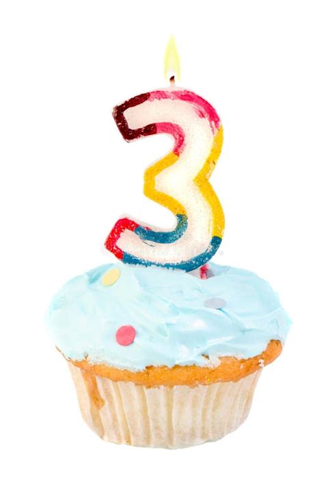 dog birthday stock image image  furry canine cheeky