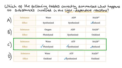 Photosynthesis Light Reaction Products
