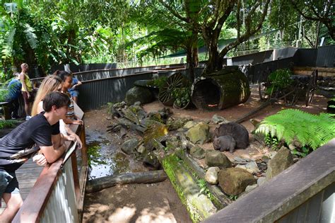 Gold Coast Zoo Home