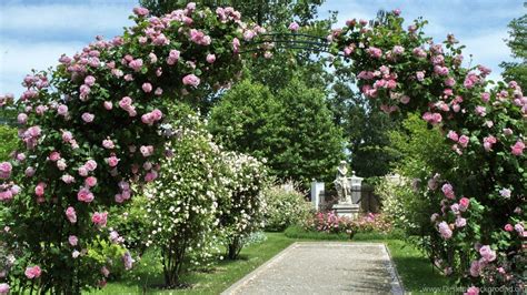 Secret Garden Wallpapers - Top Free Secret Garden Backgrounds ...