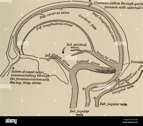 Nervous And Mental Diseases 1919 Stock Photo Alamy