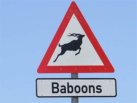 Funny and Interesting Road Signs - Arrive Alive