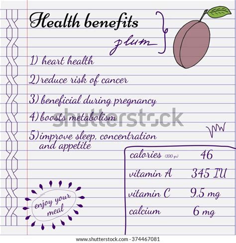 Health Benefits Plum Nutrition Facts Infographics Stock Vector (Royalty ...