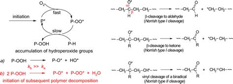 Main Reactions Participating In The Polymer Oxidative Degradation