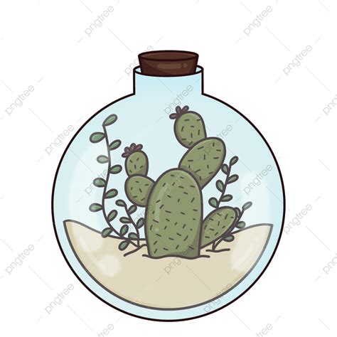 Succulent Terrarium Png Picture Succulent In Terrarium Glass Bottle
