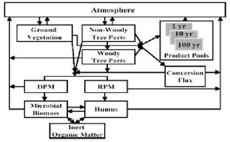 Schematic diagram of the terrestrial ecosystem component of the