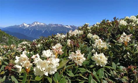 Сочинский национальный парк: фото, цены, история, что посмотреть
