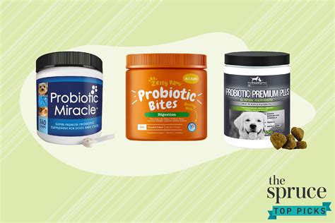 probiotics  dogs