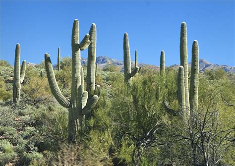 Arizona Travel: Phoenix to Sedona