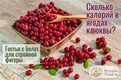 Клюква: калорийность и правила использования в рационе