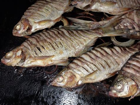 Baked fish in the oven stock photo. Image of plate, dinner - 274306916
