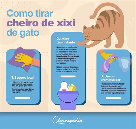 Como Tirar O Cheiro De Xixi De Gato Do Sofá - Como tirar o cheiro de xixi de gato da sua casa? Descubra o passo a ...
