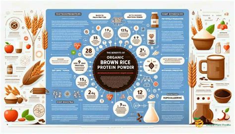 Introduction To Organic Brown Rice Protein Powder