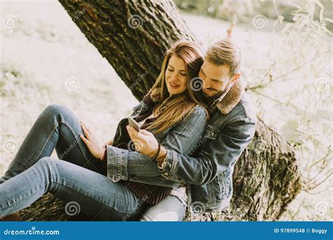 Couple In Love Sitting On A Tree In Autumn Park And Using Mobile Stock