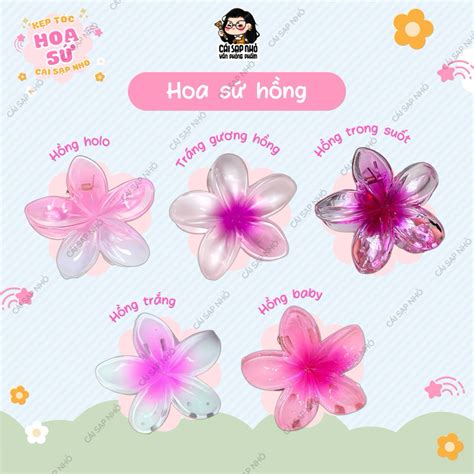 Kẹp hoa sứ màu sắc hot hit cm Cái Sạp Nhỏ Shopee Việt Nam