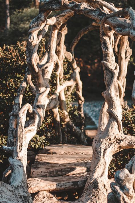 Epic arkansas road trip in 2 days – Artofit