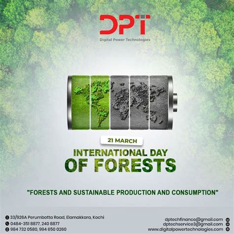 Happy International Day of Forests. in 2024 | Social media design graphics, Creative poster ...