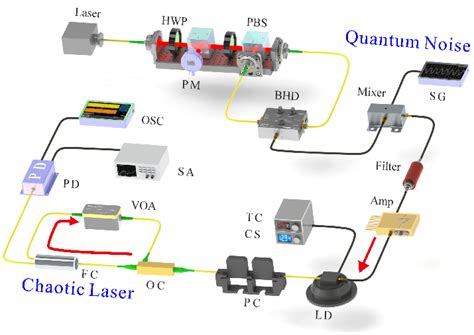 Schematic Illustration Of Experimental Setup Hwp Half Wave Plate