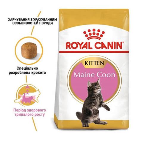 Купить Royal Canin Maine Coon Kitten для котят 4 кг, цена 1357.20 грн ...