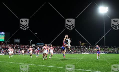 nrl   st george illawarra dragons  newcastle knights