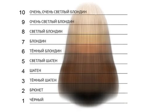 Круг Освальда для колористики волос. Фото, изучение, как пользоваться ...