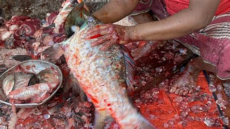 Mastering To The Big Katla Fish Cutting Amazing Cutting Skills