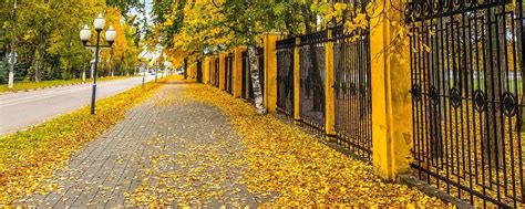 ЦВЕТОЧНЫЕ ДЕЛА | Просто показываю, просто делюсь... 2025 | ВКонтакте