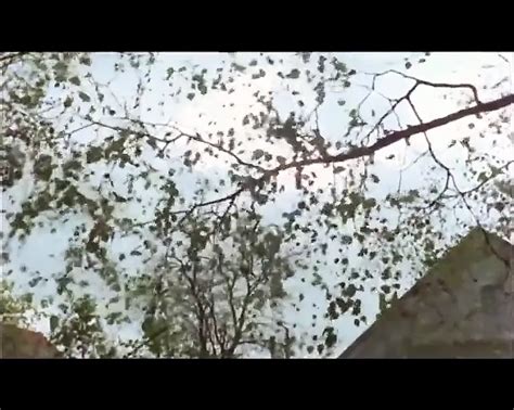 Rl Grandes Vicelardes Free Atk Models Porn XHamster