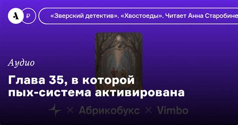 Глава 35, в которой пых-система активирована • Arzamas