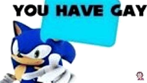 YOU HAVE GAY Sonic Funny Sonic Memes