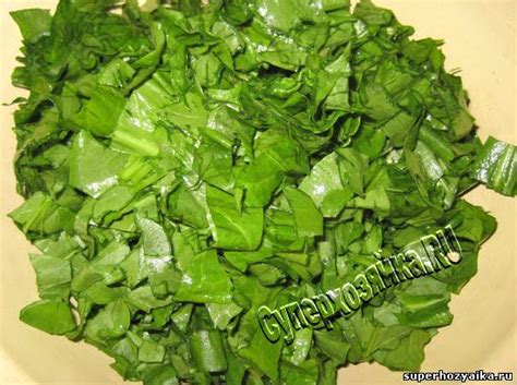 Консервированные овощи. Консервированный щавель. Замораживание щавеля ...