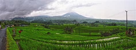 Bali Indonesia Holiday Travels: Jatiluwih Rice Terrace | Bali Land of Real Beauty