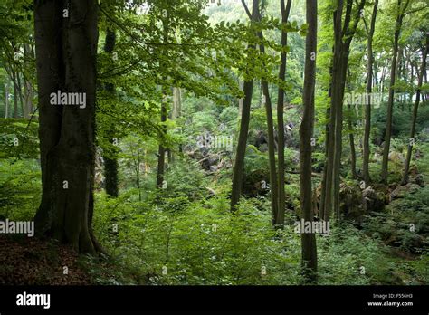 Europa, Deutschland, Nordrhein-Westfalen, Sauerland, das Hemer ...