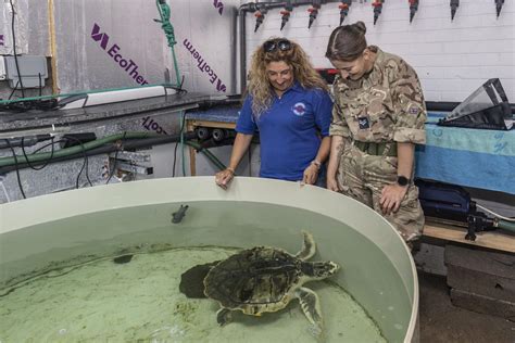 Royal Air Force Assists In The Repatriation Of Critically Endangered