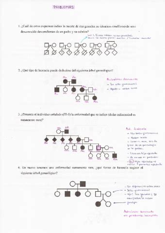 Problemas Genetica Humana Pdf