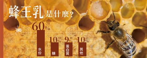 蜜蜂5大產物大剖析： 蜂蜜、蜂膠、蜂王乳、蜂蠟、蜂巢功效特色