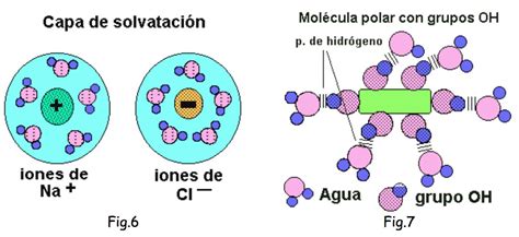 La molécula del agua – Lourdes Luengo 