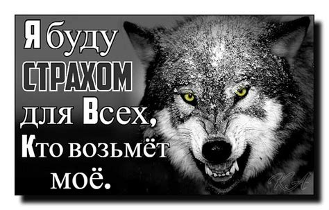 Цитаты волки картинки - 62 фото