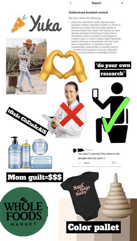 Self Righteous Crunchy Mom “influencer” Starterpack R Starterpacks